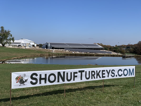 turkey farm photo